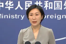 外交部：大熊猫“丫丫”回国运输方案及航线已落实视频封面