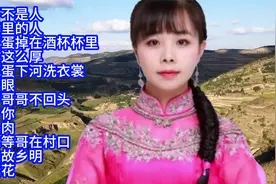 王二妮/马美如/郭涛/刘妍陕北情歌12首联唱视频封面