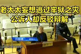 法治：老太太妄想逃过牢狱之灾，公诉人却反驳辩解，法院依法判决视频封面
