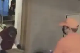 外卖员敲门送披萨黑猩猩开门取餐 双方四目相对场面滑稽视频封面