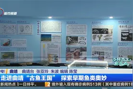 走进曲靖“古鱼王国”探索早起鱼类奥妙视频封面