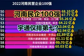 2022河南民营企业100强！宇通第7，双汇第3，第一名万万没想到视频封面