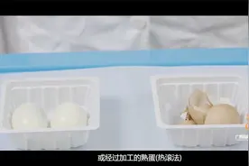 滚蛋疗法（一）视频封面