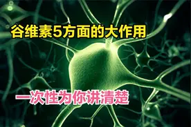 小小谷维素，除了调理失眠，还有4方面大作用，建议收藏视频封面