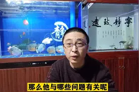 什么样的鱼缸容易爆缸？没有我们想的那么严重视频封面