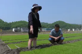 贵州贞丰：巾帼显担当 履职绽芳华视频封面