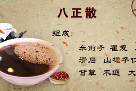中医治疗慢性前列腺炎有哪些常用方子？效果好吗？视频封面