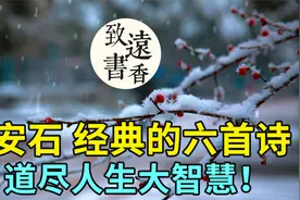 王安石经典的六首诗，简单而回味无穷，道尽人生大智慧！视频封面
