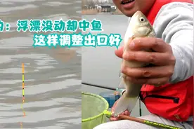 冬季野钓浮漂没动却中鱼？问题出在这里，这样调整动作大出口好！视频封面