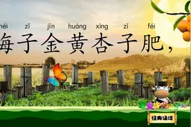 四时田园杂兴 梅子金黄杏子肥 宝贝牛经典诵读 南宋诗人 范成大视频封面