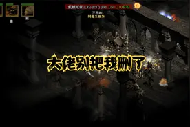 暗黑2火系德鲁伊技能展示以及实战效果，删了吧，别我还可以抢救视频封面