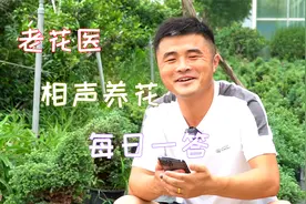 花友问自己的粑粑怎么沤肥？气死我了。老花医相声养花每日一答。视频封面