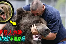 一掌能拍死野牛的棕熊，为啥俄罗斯家家户户都养？中国人能养吗？视频封面