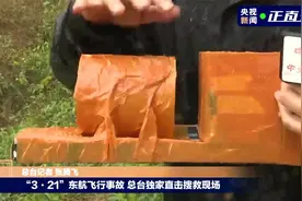 总台记者现场用黑匣子模型介绍情况视频封面