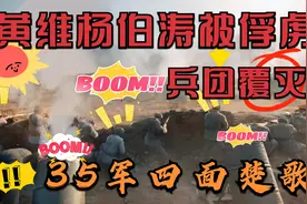 大决战43：解放军活捉黄维杨伯涛黄维兵团覆灭，35军四面楚歌视频封面