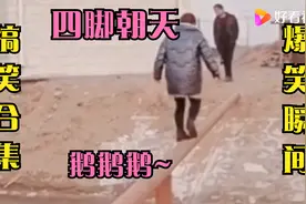 搞笑合集；美女四脚朝天掉下来哈哈哈太好笑了~视频封面