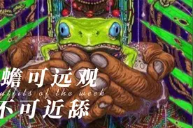 蟾蜍毒能够引起幻觉，舔蟾成美国迷幻新热门，成分可能有医疗潜力视频封面