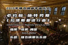 祖宾·梅塔｜老约翰·施特劳斯《拉德斯基进行曲》维也纳爱乐视频封面