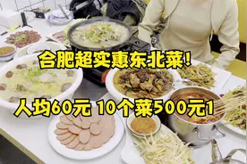 背井离乡的黑龙江兄弟在合肥开店做东北菜和烧烤，人均60元值不值视频封面