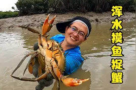 不起眼的海沟里满是惊喜，石斑鱼螃蟹随便摸，渔夫抓太多不敢上岸