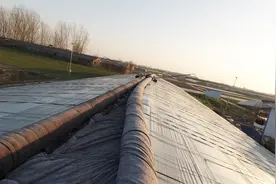 冷棚能当暖棚用？做好这点就够了，零下五度也不怕！视频封面