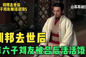 刘邦去世后，第六子赵幽王刘友被吕后活活饿死视频封面