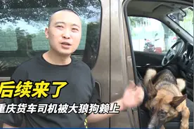 重庆货车司机被大狼狗赖上 后续来了！这两人也太像了！视频封面