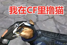 CF：猪年摸猫头，万事不用愁，超可爱的冷门武器猫猫枪试玩视频封面