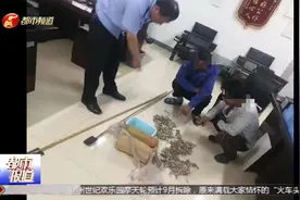 捉490只壁虎给母亲治病？二人捕三有保护动物，双双进警局！视频封面