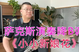 萨克斯演奏《小小新娘花》旋律优美动听，让人思念青春美好岁月视频封面