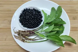 车前草加黑豆，作用太厉害了，解决了很多人的大烦恼，省钱又实用视频封面