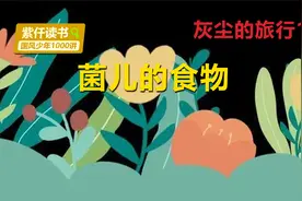 灰尘的旅行连载11：菌儿占领人类的食道和肚肠后，会有什么后果？