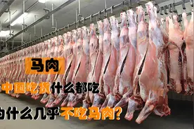 中国吃货什么都吃，为什么几乎不吃马肉，是因为不好吃吗？视频封面