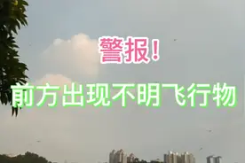 警报！前方出现不明飞行物视频封面