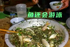 见识一下越南人吃凉拌活鱼，真是开眼界了，广东人见了都要摇头视频封面