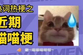 喵喵梗合集 happ猫 香蕉猫 歪嘴猫 岩浆猫 臭猫是什么梗？视频封面