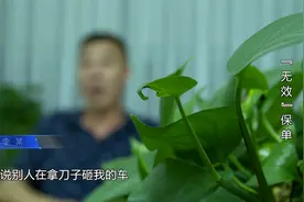 法治：车主遭受无妄之灾，爱车被当场烧毁，作案人有精神病视频封面