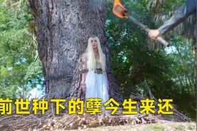 500年的蛇王遇见了自己的母亲（11）视频封面