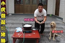 小虎用盐做盐焗猪肺，出锅后金毛尝了一口，直说比黑暗料理还难吃视频封面
