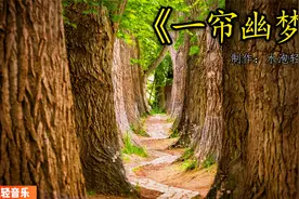 《一帘幽梦》经典古筝版，旋律优美，琴声优美动人，舒缓压力。视频封面