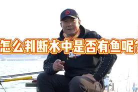 如何判断水中是否有鱼呢？来看钓王李震教你火眼金睛视频封面