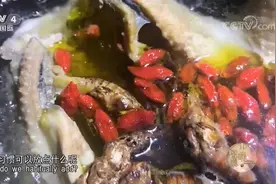 用金蝉花做的这道“护肾养生汤”营养丰富，好吃极了，你也学学吧视频封面