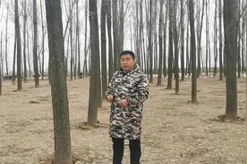 有些人问老张，鹅蛋怎么区分菜蛋种蛋？今天分享给大家视频封面
