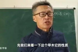 甲木的五行性质及调候推理分析