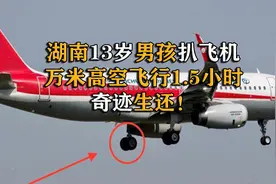 13岁男孩扒飞机万米高空飞行1.5小时，奇迹生还，如今过的怎样了视频封面