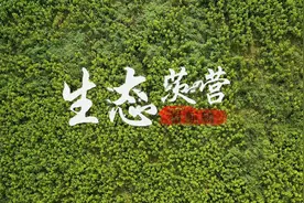 【看麒麟之茨营】生态茨营视频封面