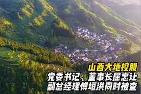 山西大地控股党委书记、董事长，副总经理同时被查视频封面