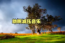 泥土的味道是苦涩的，海水的味道是苦咸的视频封面