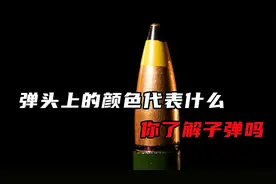 涂在弹头上的颜色代表什么， 你了解子弹吗视频封面