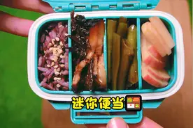 小小的【迷你便当】，今天吃梅干菜扣肉，太香了！【迷你厨房】视频封面
